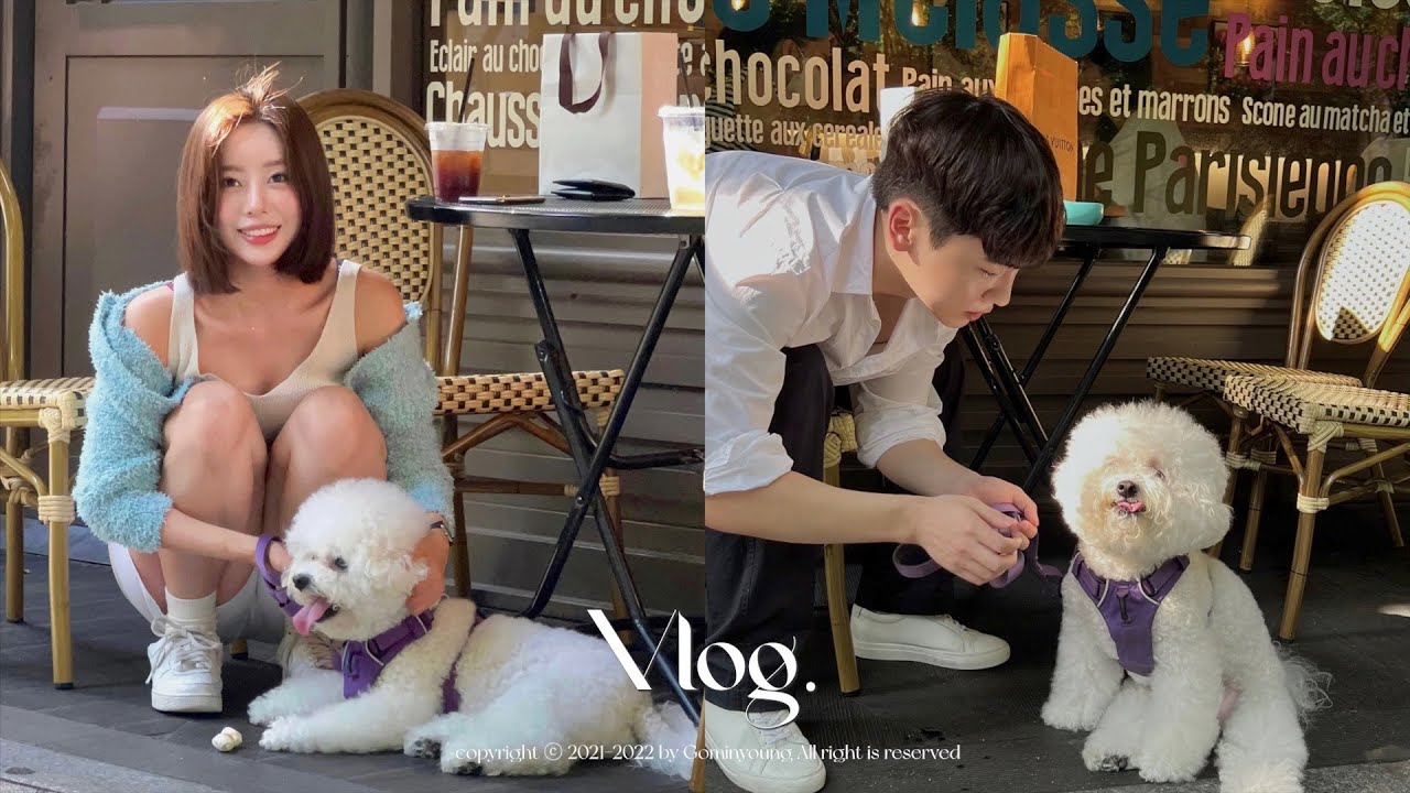 VLOGㅣ8월에 태어난 제이ㅣ솜이 보고싶어서 앓다 죽었어,,ㅣ단발레이어드컷ㅣ리빙템 언박싱ㅣ소개팅썰ㅣ