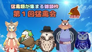 【ケモノ系VTuber】第一回・猛禽会【コラボ雑談配信】