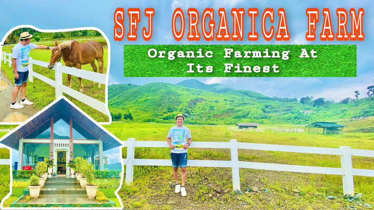 SFJ ORGANICA FARM | ORGANIC FARMING | SERGIO OSMEÑA | TRIP TO ZAMBOANGA DEL NORTE - PART 3