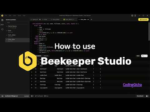 How to use Beekeeper Studio