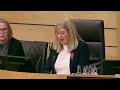 Stage 3 Proceedings: Land Reform (Scotland) Bill (Part 4) - 29 October 2025