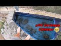 ¡¡Increíble!! Entro descalzo en el criadero de mis tortugas de agua y esta es su reacción!!😨😨