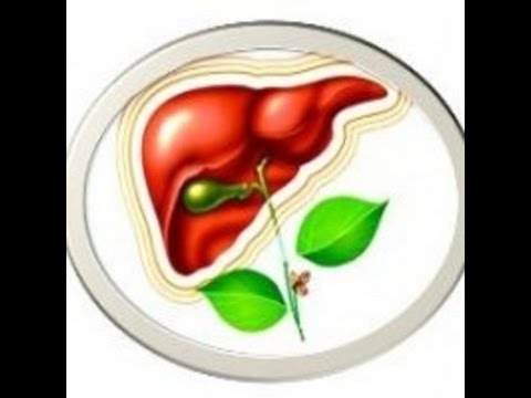 Жировой гепатоз печени симптомы и лечение