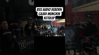 Bss  Reborn Elephant Impossible To Ketulup