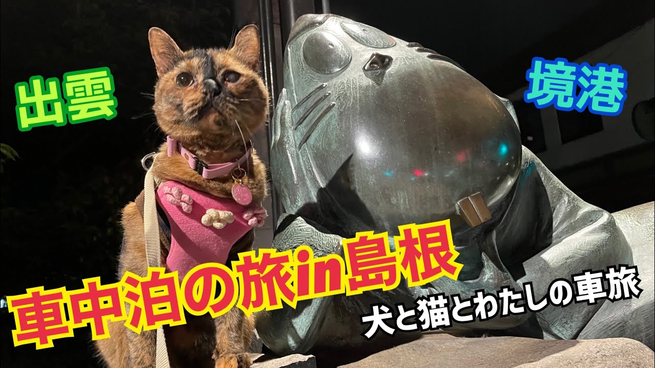 車中泊の旅in島根 ちょぴっと鳥取 犬と猫とおひとりさまの車旅 ぶらり出雲 境港エリア編 Youtube