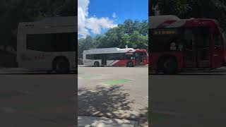 via bus route 34 S St Mary's to Brooks / downtown #511 (there she is)
