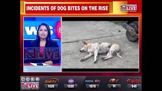 Itanagar dog bite cases: Municipal Corporation appeals people not to kill stray dogs