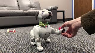Aibo ERS-1000 Goes to Work!