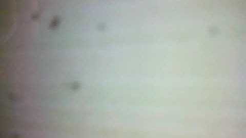 14.01.2020 تلاوة من صلاة العشاء للشيخ يوسف بن عاطي بمسجد أبي حامد الغزالي بوفريزي أوائل سورة يوسف