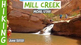 Hiking Mill Creek (Moab, Utah)