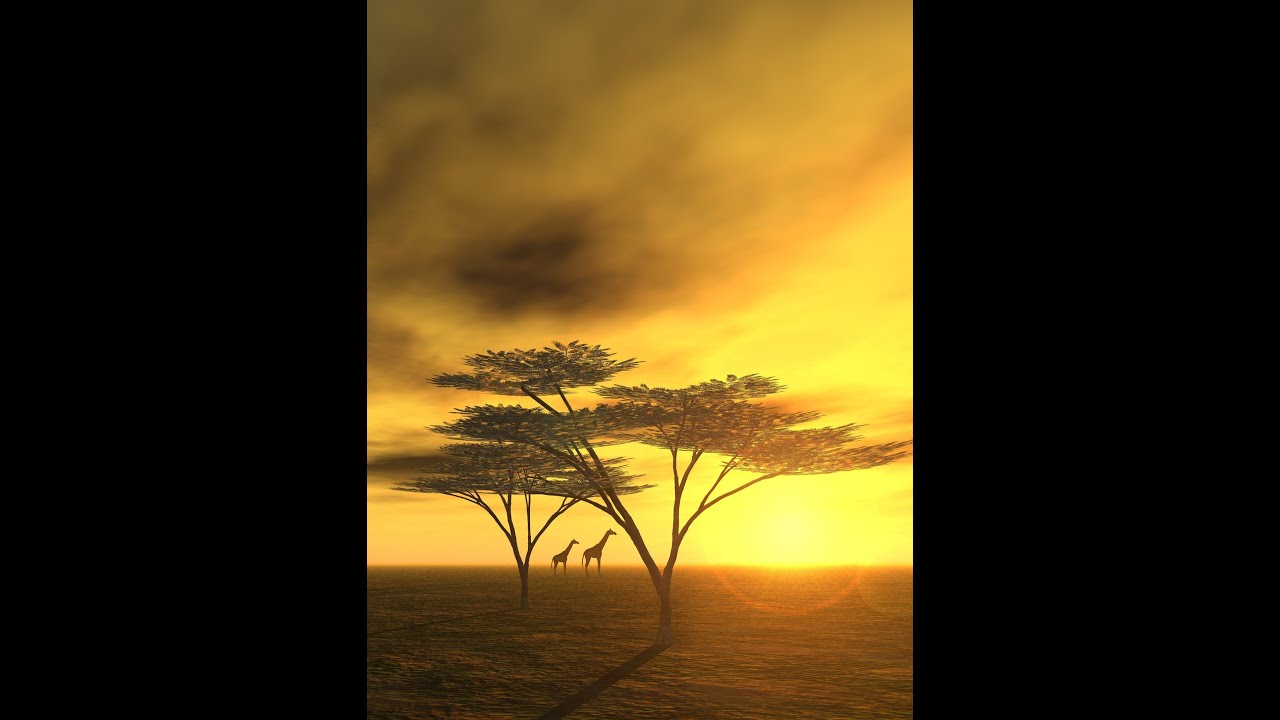 hapa duniani african dawn hapa duniani african dawn