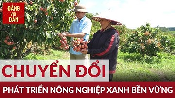 Mô hình nông nghiệp xanh | Khát vọng Tây Nguyên | Đảng với Dân