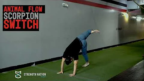 Animal Flow Scorpion Switch