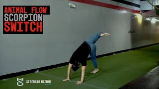 Animal Flow Scorpion Switch