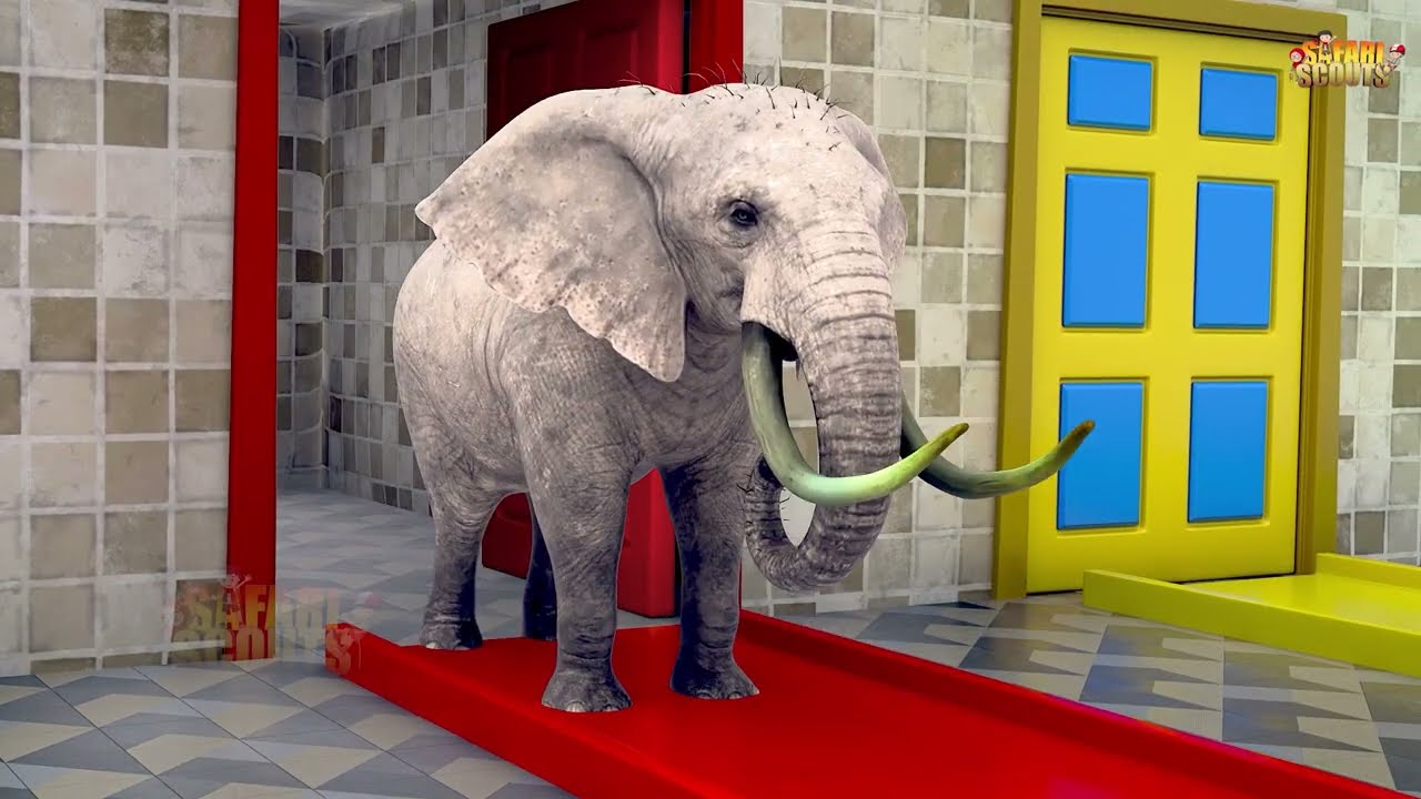 Long Slide Game with Cow Elephant Gorilla Hippopotamus Tiger 3d Animal Game Funny 3d Animals