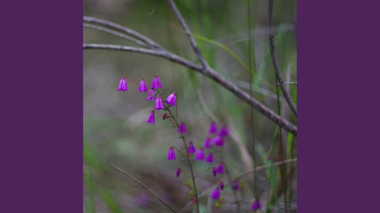 YouTube에서 Sinister Echo 보기 YouTube에서 Sinister Echo 보기