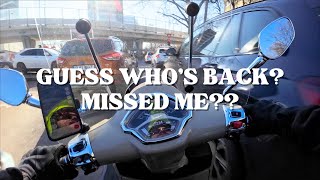Guess Whos Back? The Orange Rider New 2025 Video