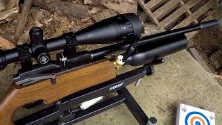 Artemis M16D reviewBig Dan's Airguns.