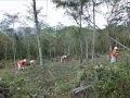 ふれあいの森づくり/ふる里の山に向かいて