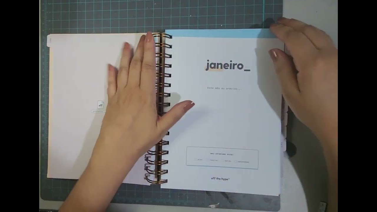 Planner/desagenda Aff The Hype 2024