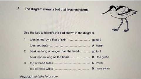 IGCSE past paper (multiple choice) discussion- characteristics and classification of living organism
