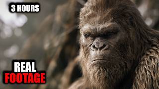 3 Hours of The Most Convincing Bigfoot Footage Ever Recorded