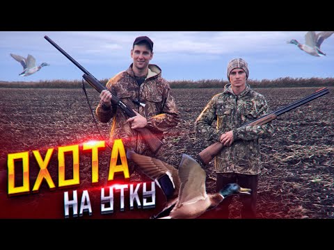 Фото На Охоте Осенью