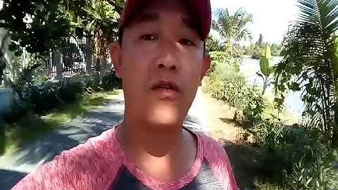 Quê Tôi Du Lịch Miền Sông Nước , Cái Bè Tiền Giang