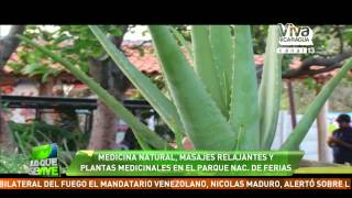 Medicina Natural Y Masajes Relajantes En El Parque Nacional De Ferias