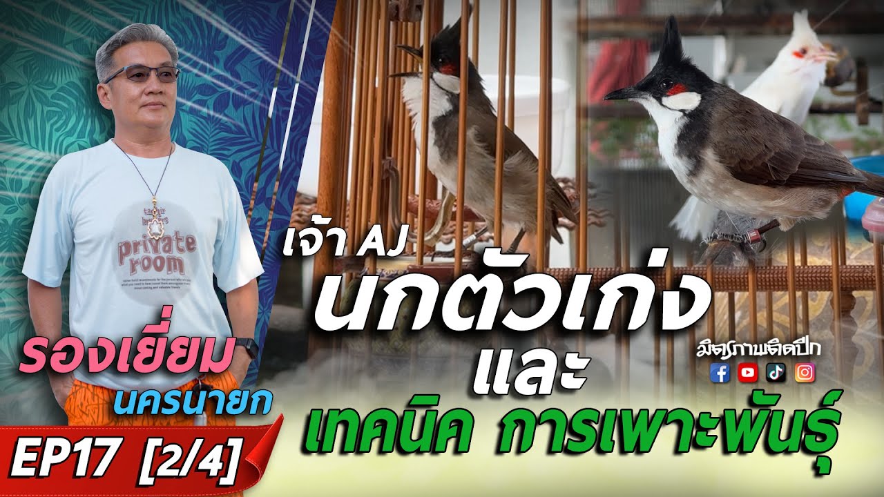ชายผู้เลี้ยงนกด้วยความรัก และทุ่มเท l ผลักดัน,กำหนดกติกา นกกรงหัวจุกแฟนซี l เยี่ยม นครนายก EP17[2/4]