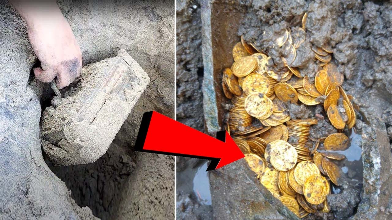 Treasure Hunting Found lost valuables Gold Coins By Metal Detecting