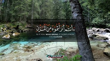 القران الكريم | سورة الواقعة (افرئيتم الماء الذي تشربون...) #القرآن_الكريم #المصحف #تلاوات #watet