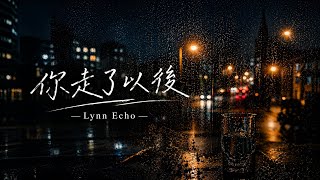 你走了以後｜城市還在下雨，而我還在想你｜Lynn Echo (Lyrics Video)
