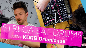STREGA EAT DRUMS with Korg Drumlogue | Make Noise