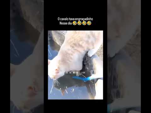 Quase caiu kkkk #humor #engraçado #fyp #comedia #furyou #tops #furyou #viral #reels #funnyvideos #fy
