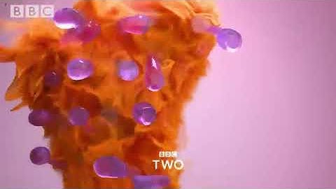 Wonder - BBC Two Intro