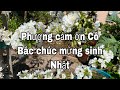 MỪNG SINH NHẬT - HAPPY 40TH BIRTHDAY