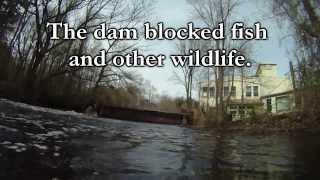 Wapping Road Dam Story
