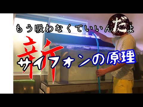 【サイフォンの原理】水換え革命❗️もう吸わなくても飲まなくてもいいんだよ‼️