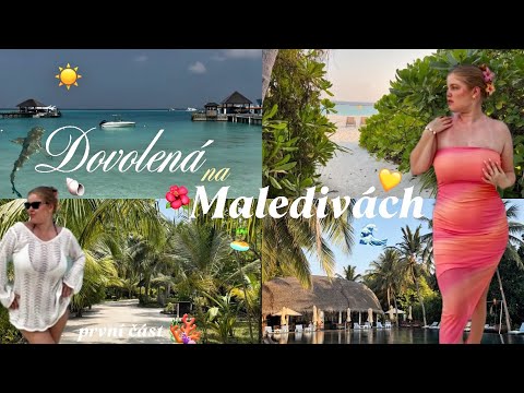 Dovolená na Maledivách - ulovila jsem žraloka, poznáváme ostrov, vlog z našich dnů v ráji | ANEMÍ💛