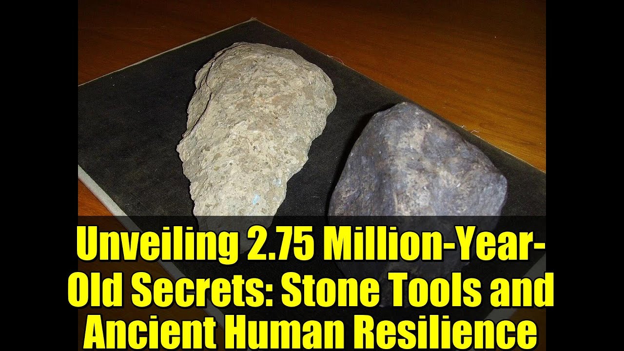 Unveiling 2.75 Million-Year-Old Secrets: Stone Tools and Ancient Human Resilience