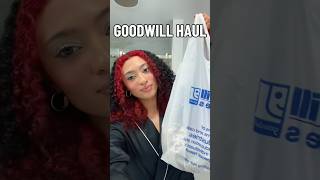 Goodwill Haul