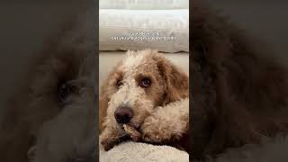 My Professional Opinion