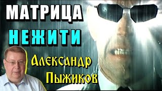 В матрице НЕЖИТИ 💥 библейского ПРОЕКТА 💥