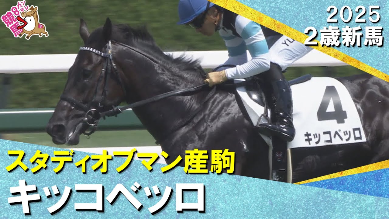 中国拓本 騎馬人など4点 額入り ガルフォート Galle Fort 牡 4歳 ※地方競馬 在籍