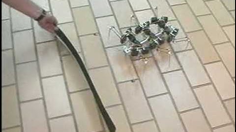 Hexapod, 6-legged, omni-directional in-line compact walking robot with non-contact whisker sensors