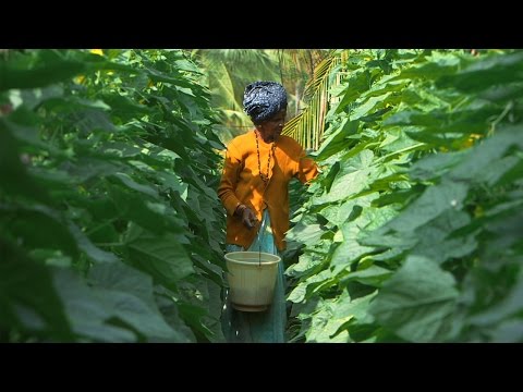 Empowering women through sustainable agriculture