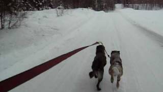 MVI_3103.AVI