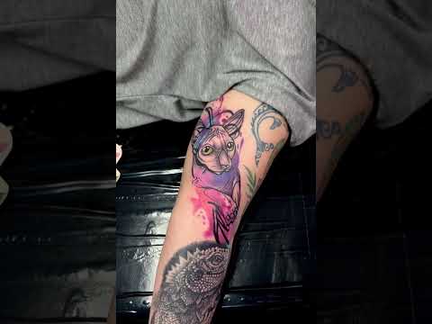 Insane watercolor cat