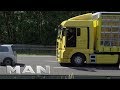 MAN Notbremsassistenten EBA 2 | MAN Truck & Bus